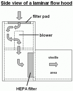 Air Flow Pattern (Laminar Air Flow-LAF)